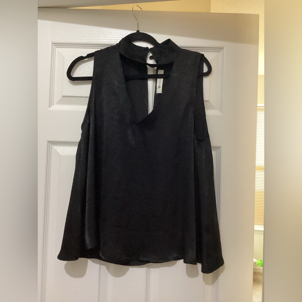 Impeccable Pig Top